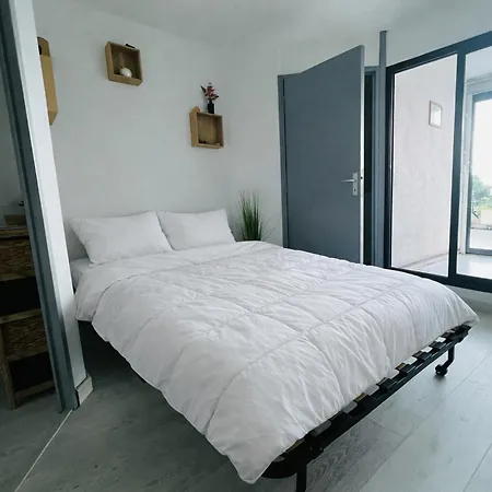 Renove Avec Terrasse Pres Du Port, 4 Couchages - Fr-1-309-473