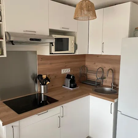 Renove, 4 Couchages, Grande Terrasse, Port De Plaisance, A 200m De La - - Fr-1-309-473 * Argeles-sur-Mer
