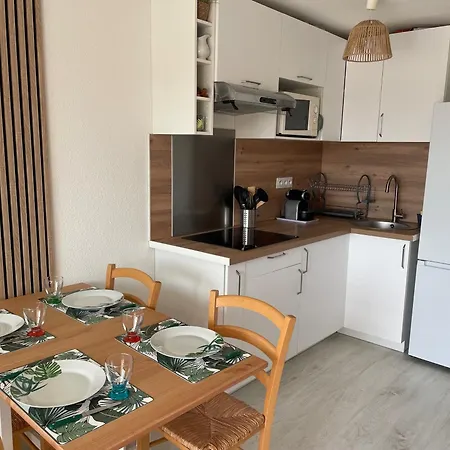 Renove Avec Terrasse Pres Du Port, 4 Couchages - Fr-1-309-473 *