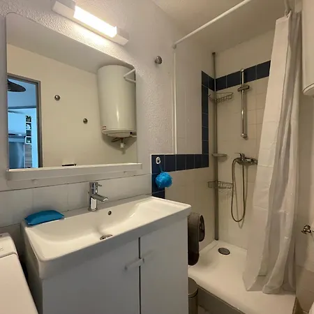 Renove, 4 Couchages, Grande Terrasse, Port De Plaisance, A 200m De La - - Fr-1-309-473 Argeles-sur-Mer