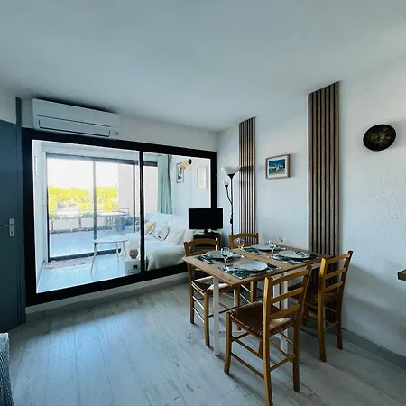 Renove Avec Terrasse Pres Du Port, 4 Couchages - Fr-1-309-473