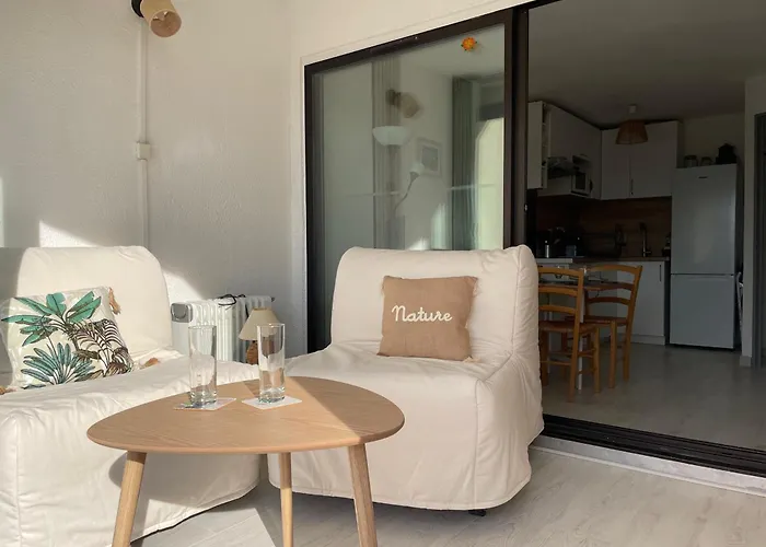 Renove Avec Terrasse Pres Du Port, 4 Couchages - Fr-1-309-473 *