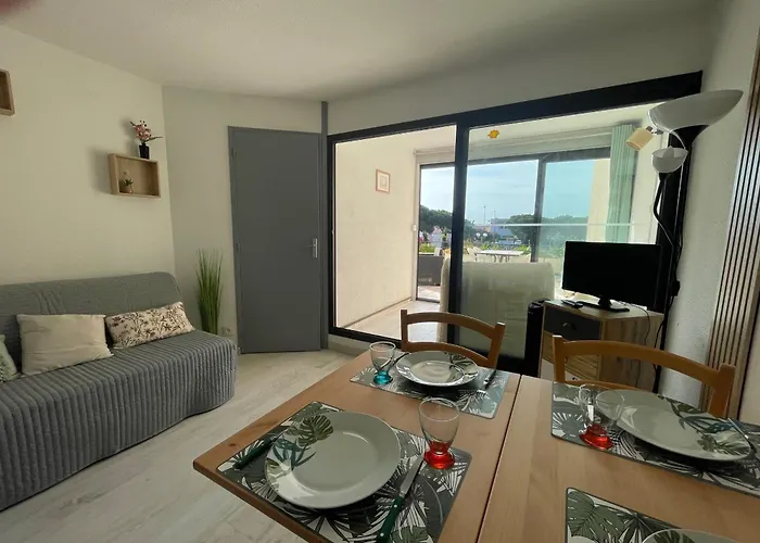 Renove Avec Terrasse Pres Du Port, 4 Couchages - Fr-1-309-473