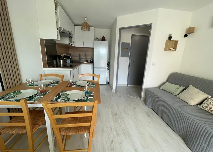 Renove Avec Terrasse Pres Du Port, 4 Couchages - Fr-1-309-473 * Argelès-sur-Mer