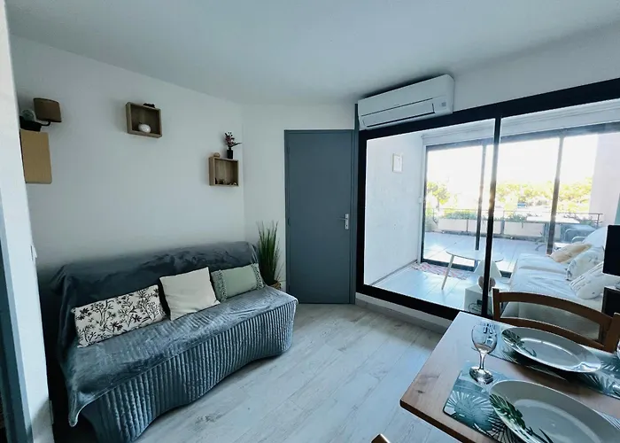 Renove Avec Terrasse Pres Du Port, 4 Couchages - Fr-1-309-473 * Argeles-sur-Mer