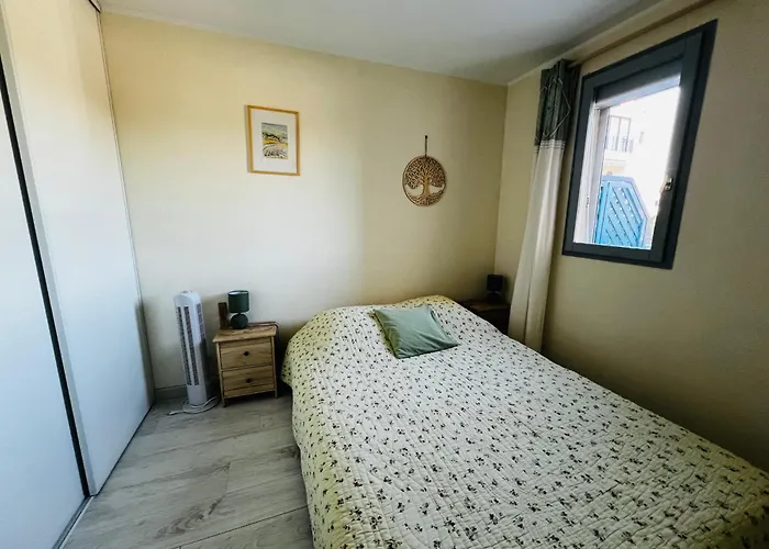 Renove Avec Terrasse Pres Du Port, 4 Couchages - Fr-1-309-473 *