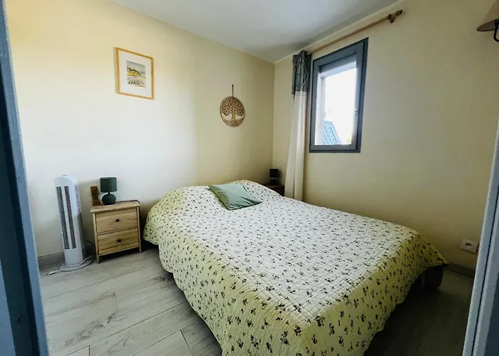Renove Avec Terrasse Pres Du Port, 4 Couchages - Fr-1-309-473 Argeles-sur-Mer